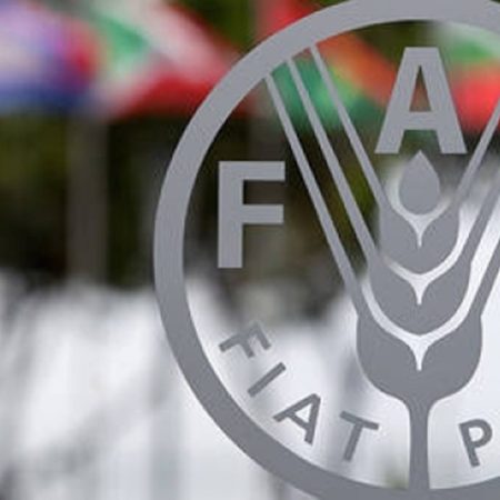 FAO: Suyla ilgili felaketlerin 200 milyar dolardan fazla maliyeti oldu